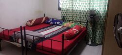 Blk 875 Yishun Street 81 (Yishun), HDB 4 Rooms #553256281